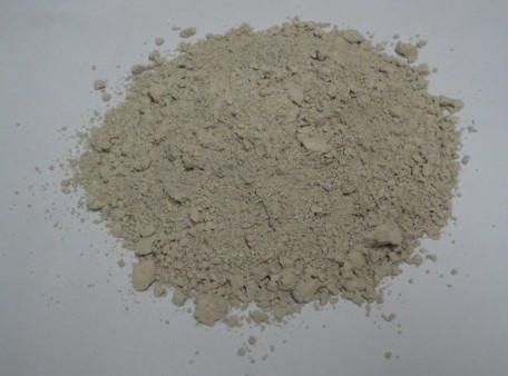 硅藻土催化剂